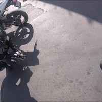 Motorrijders redden hulpeloze kitten van de weg