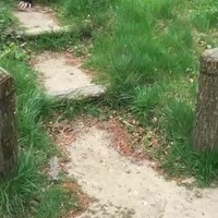 Trapje af met de mountainbike
