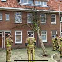 Brandweer neemt afscheid van boom