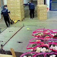 Pompwagen vs chauffeurs