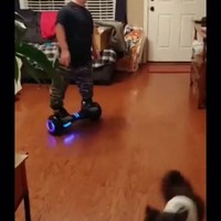 Trucje op je wheelboard