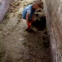 Kalf loopt te klooien