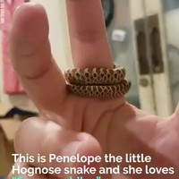 Mini-slang