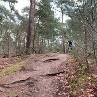 Rondje door het bos