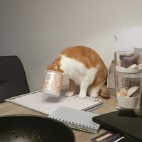 Lekker toetje