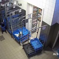 Zieke beelden gewapende overval op KFC