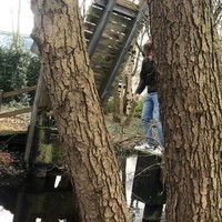 Roderick, springen lul