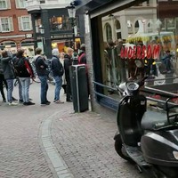 Hamsteren in Coffeeshops