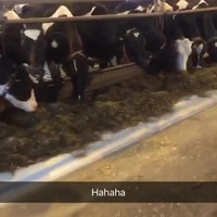 Goed gesprek met de dames