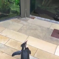 Just smile & wave boys