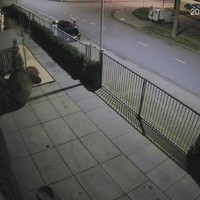Hit and run