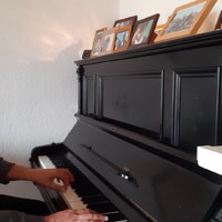 Thuiswerk Blues