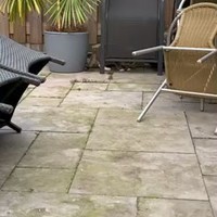 Kat en muis