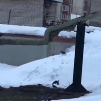 Snowboardkraai