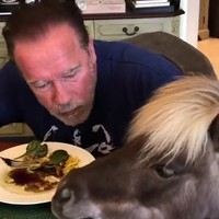 Arnie is niet alleen