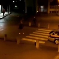 Gekkie in Oostenrijk