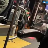 Boosmeneer in de bus