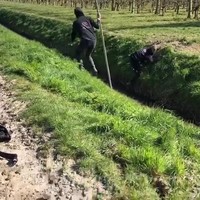 Fierljepje du jour