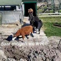 Voor de eerste keer naar buiten