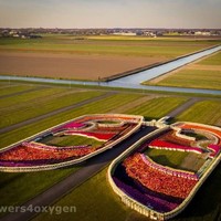 Bloemenmannen vervelen zich