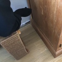 Ik ga die muis redden