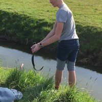 Uit stand springen