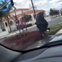 Coronaroadrage in LA