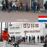 NED VS USA