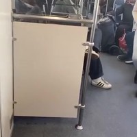 Metrofittie