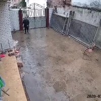 Buffel is baasje zat