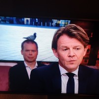 Duif bij Jinek in de studio!