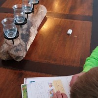 Thuisonderwijs geen probleem
