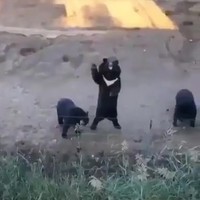 Yo!