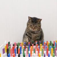 Win-compilatie van maart