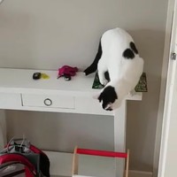 WC-papier is op!