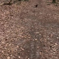 Stukje fietsen in 't bos