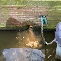 Ondertussen in de Amsterdamse grachten