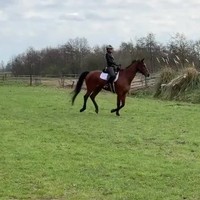 Famke Louise pleurt van paard