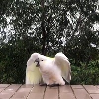 Te lang in social lockdown