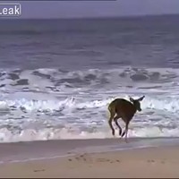 Lekker rustig op het strand