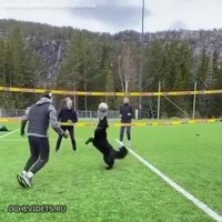 Hond is goeie volleyballert
