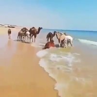Lekker rustig op het strand #2