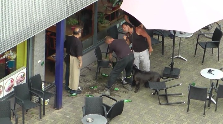 zwarte