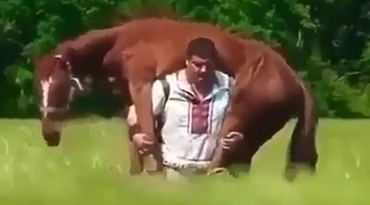 Giant lullen