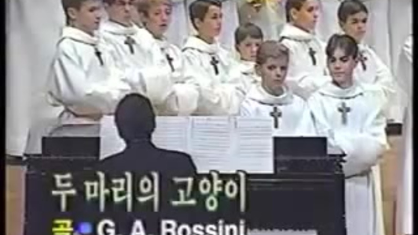 dumpert.nl Cat Duet Boys Choir