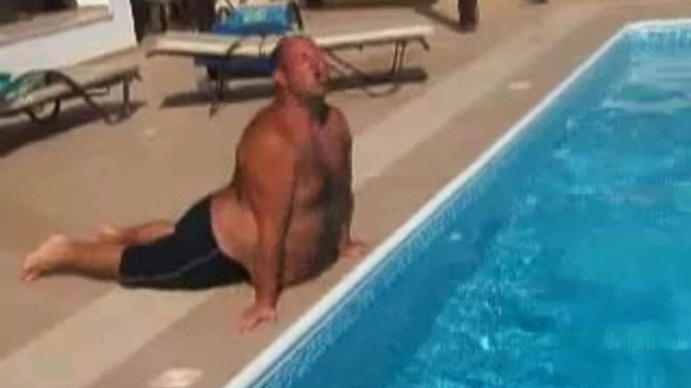 dumpert.nl - Zeehond gespot in achtertuin