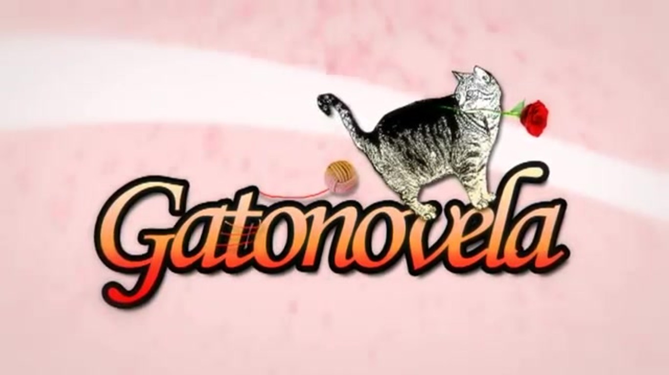 DUMPERT Gatonovela Cat Soap Opera