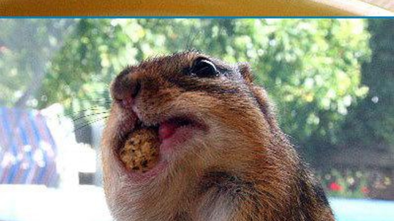 dumpert.nl - Wie wat bewaart, die heeft wat