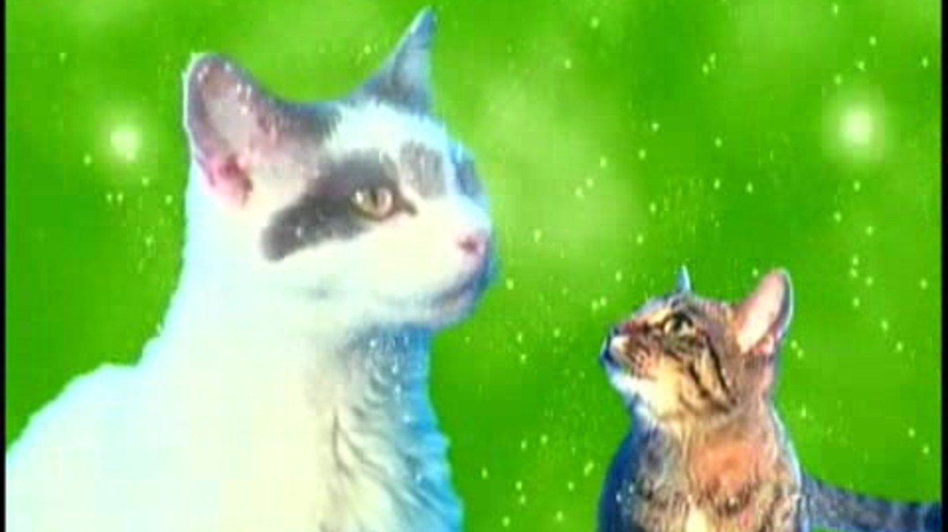 dumpert.nl Jingle Cats