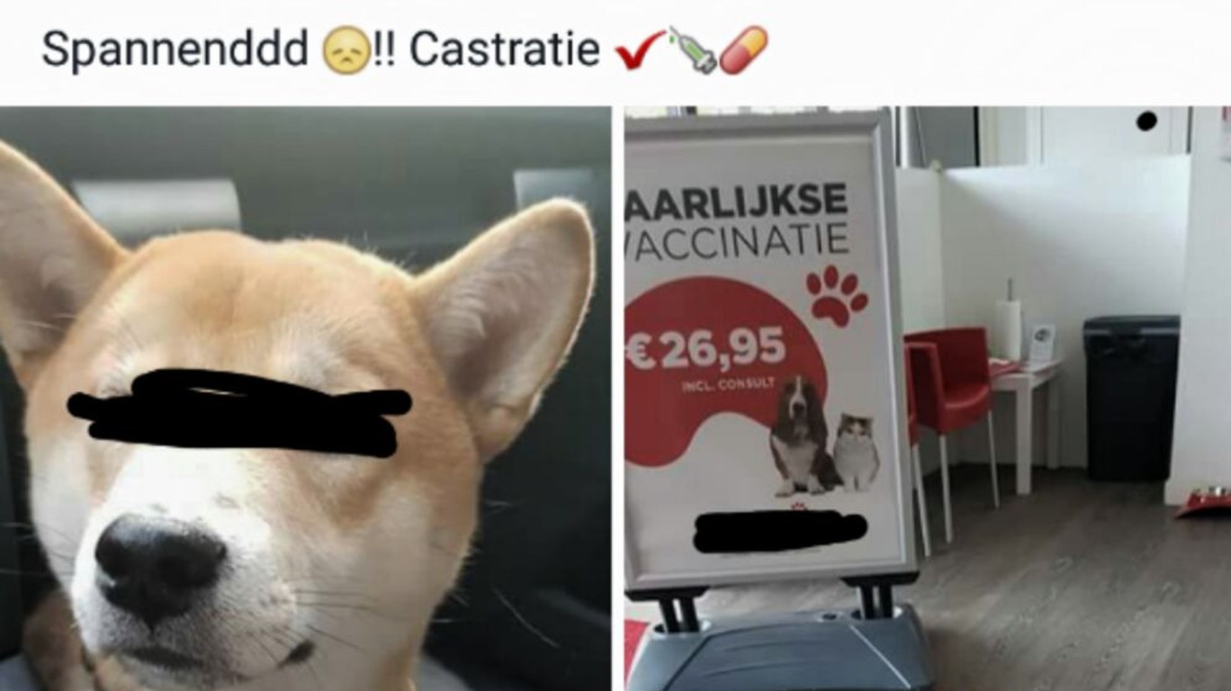 Dumpert nl Tijd Voor Een Feestje 